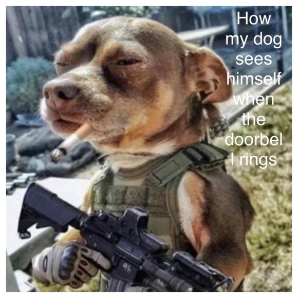 ❌ 11/19 WICKED WEDNESDAY VINTAGE FASHION SHARE GROUP - Picture 14 of 16